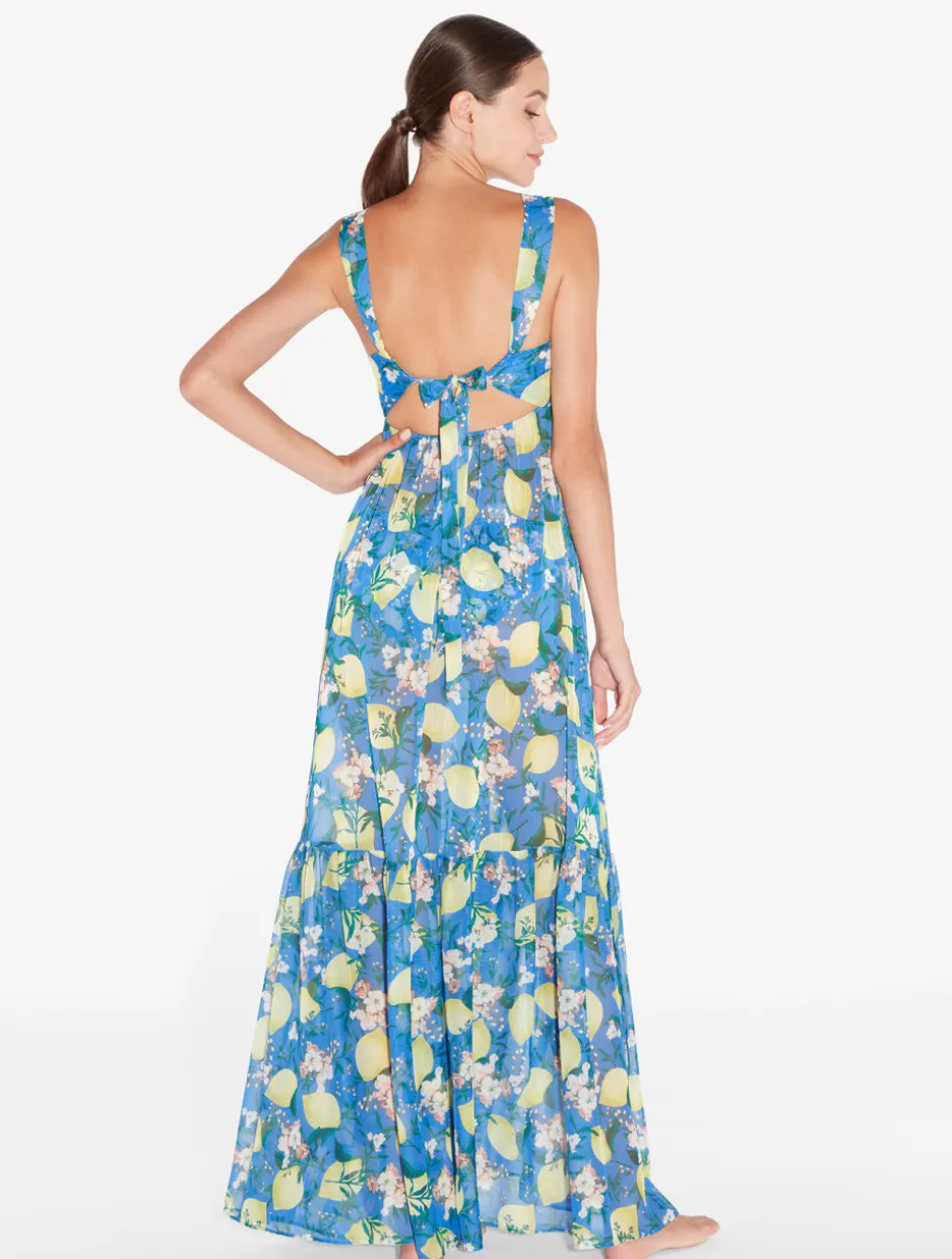 Blue Printed Maxi Dress